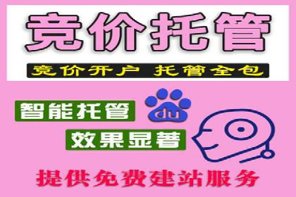 百度推广实战：打造爆款产品案例解析
